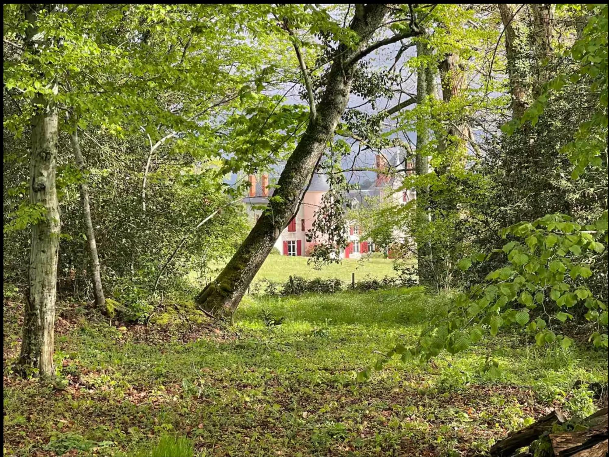 Chateau De La Combe La Celle  Экстерьер фото